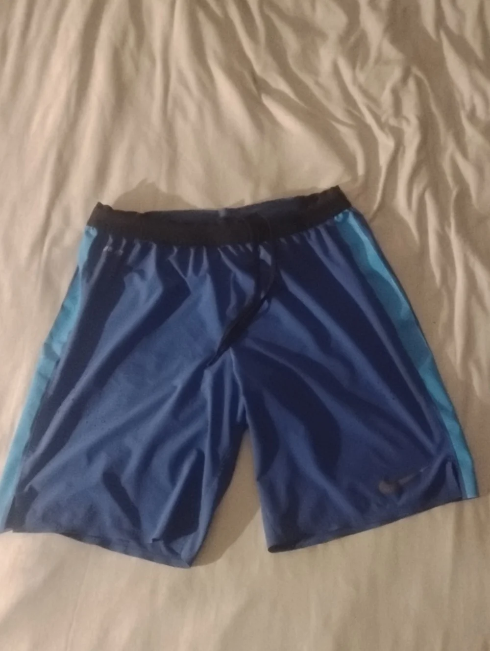 Nike Men's Two-Tone Blue Athletic Shorts